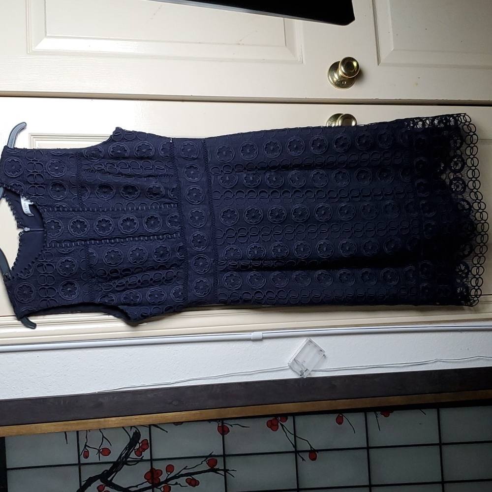 Preston & york dress size 8